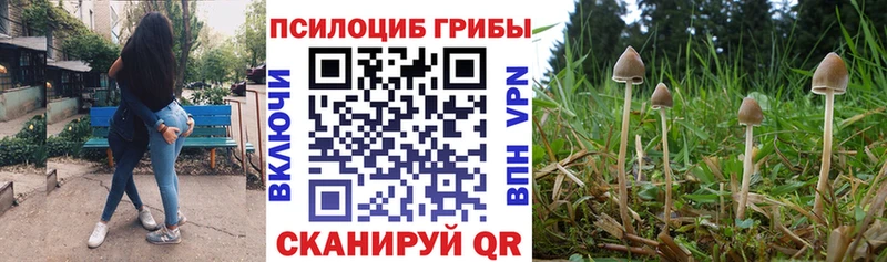 Псилоцибиновые грибы Psilocybine cubensis  Купить где  Малоархангельск 